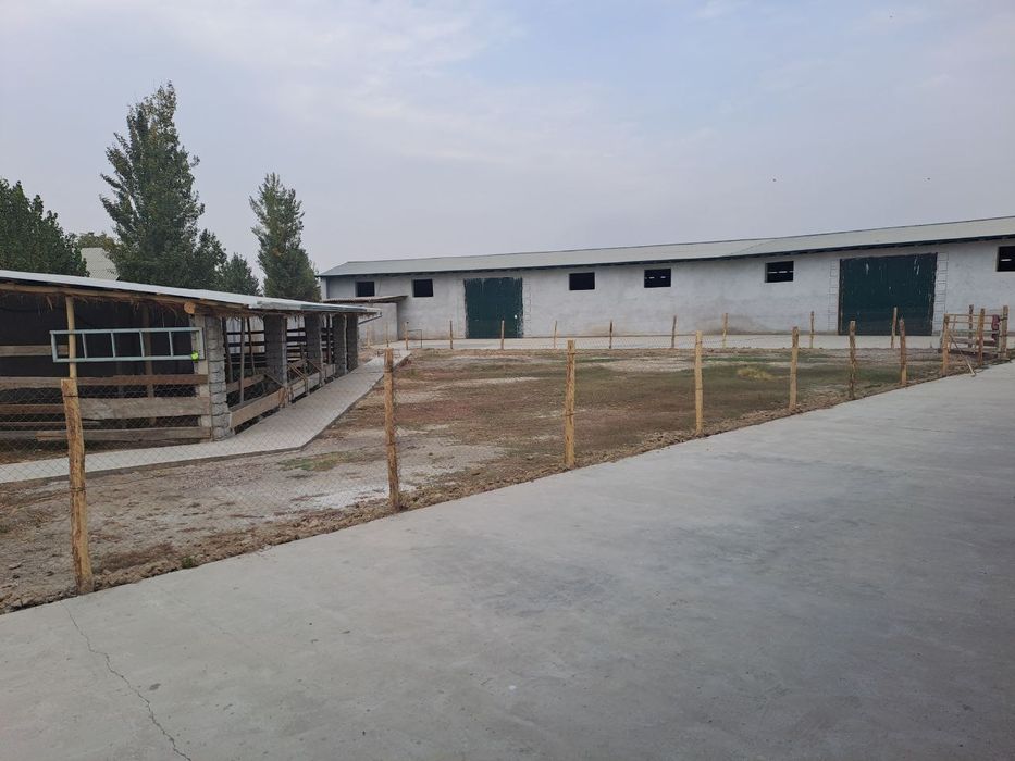 SEX ishlab chiqarish uchun SKLAD