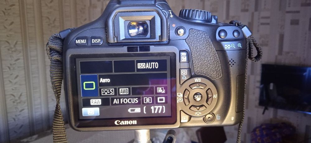 Canon EOS 550D yangi holatda ishlatilmagan tulip komplikt