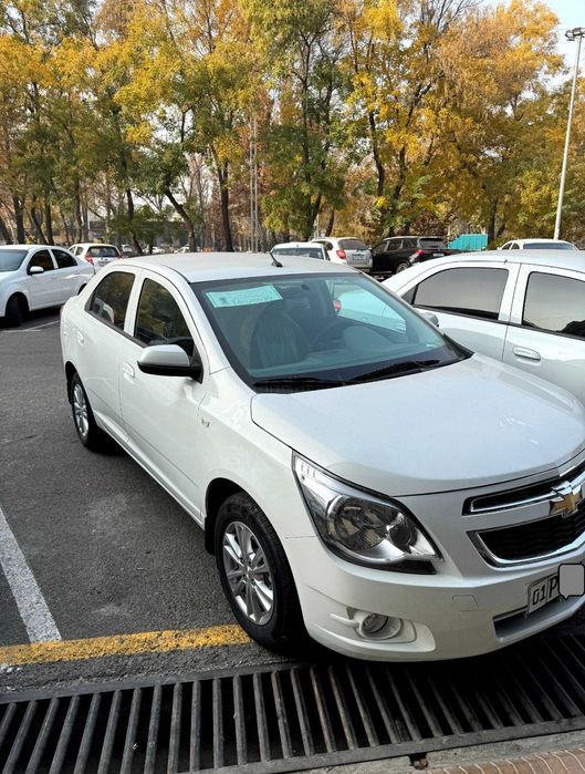 Cobalt Style MCM New