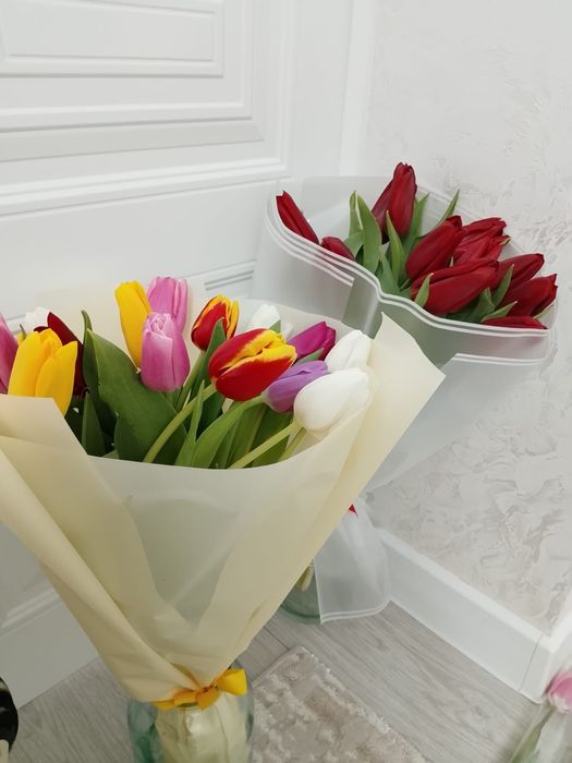 Тюльпаны оптом и в розницу