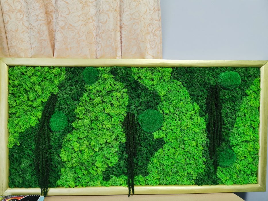 Lichenii stabilizați