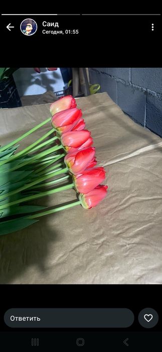 Цветы Тюлпаны оптом и розницу