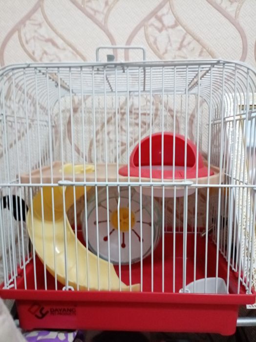 Клетка для джунгарского хомяка