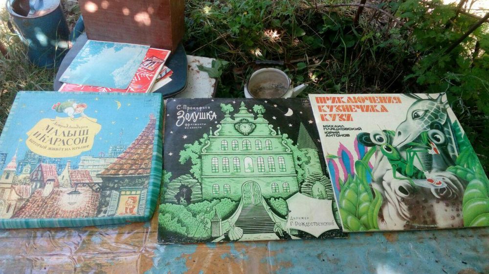 Виниловые пластинки