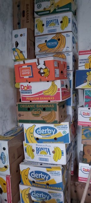 Vand BAXURI banane NOI