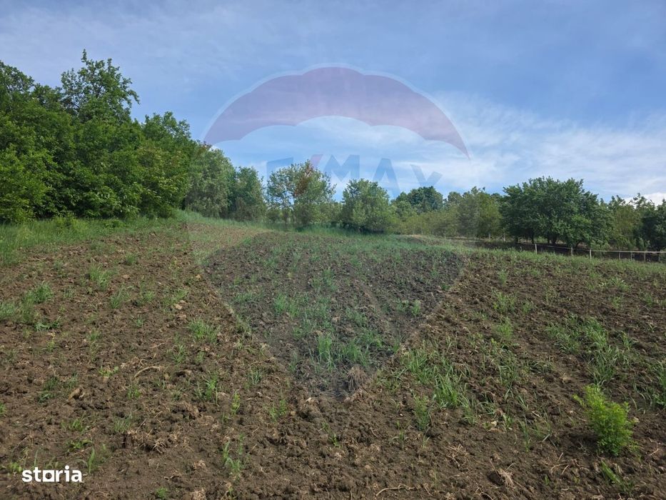 Casă la roșu cu teren 4.234 mp, cadru natural deosebit – Deag, Iernut