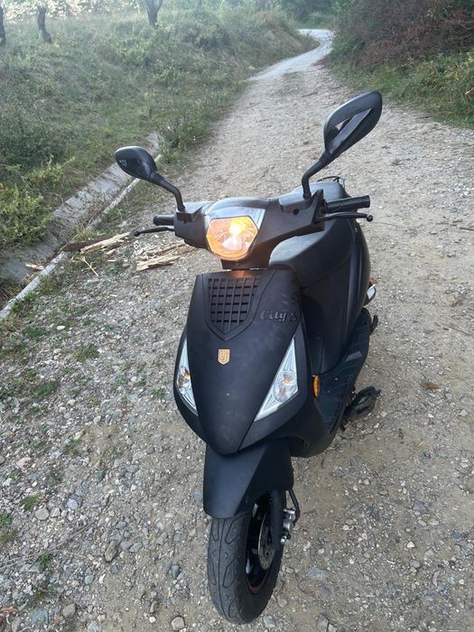 Suter 50cc LaSouris