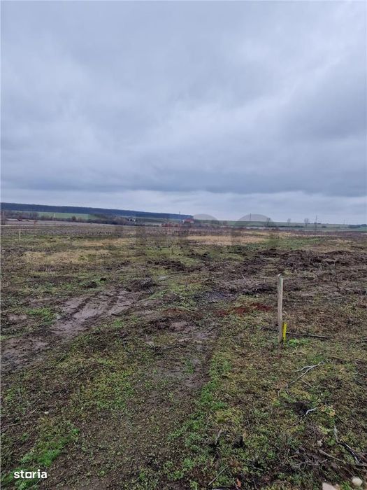 Teren intravilan cu proiect de casa in Pausa.