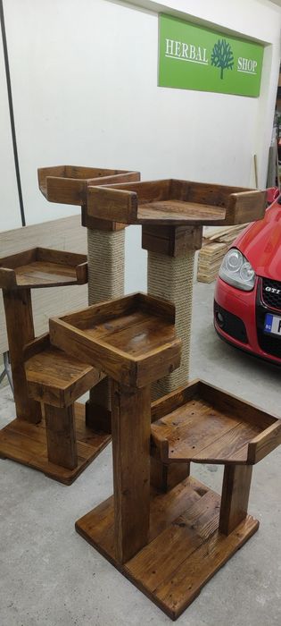 Котешка катерушка дърво