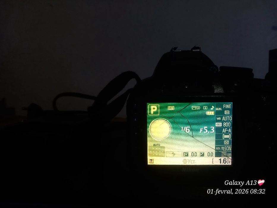 Fotoapparat NIKON 3100