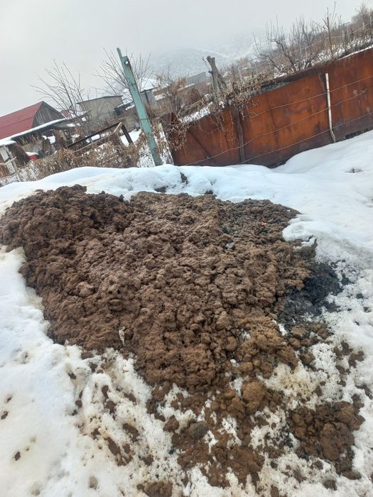 Одам навос даром. Сомавывес.  навос чистый