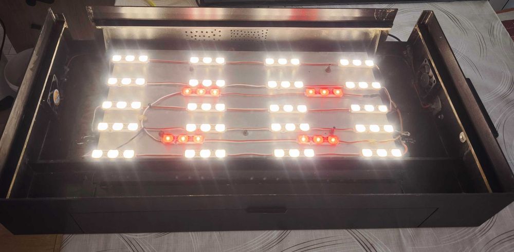 Аквариум 100L + външен филтър SunSun + Anubias + Tylomelania