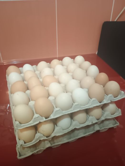 Ouă de la găini crescute la țară