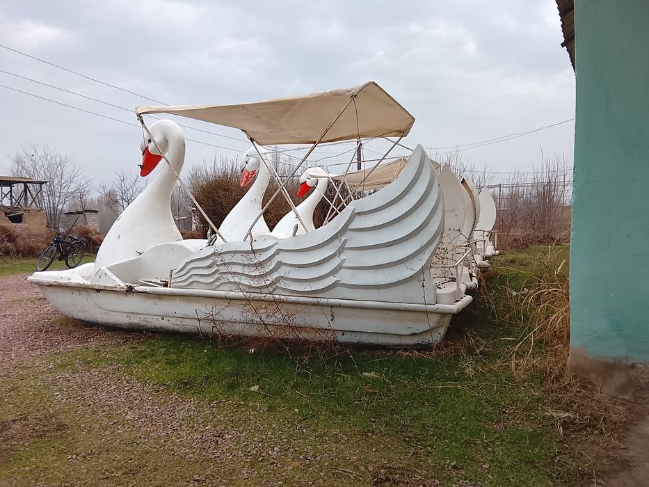 Катамаран соккани боладиган транспорт