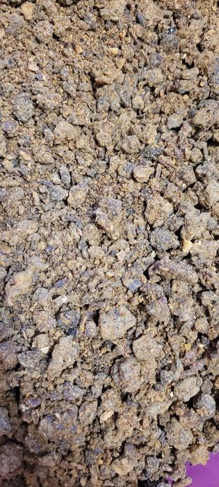 vand propolis pentru sezonul rece și imunitate