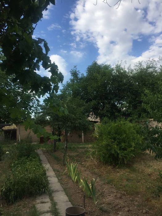 Dacha sotiladi o'rta saroyda