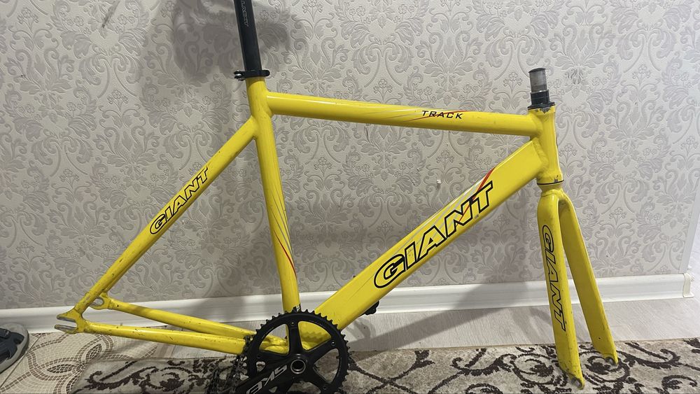 Fixed gear Giant track