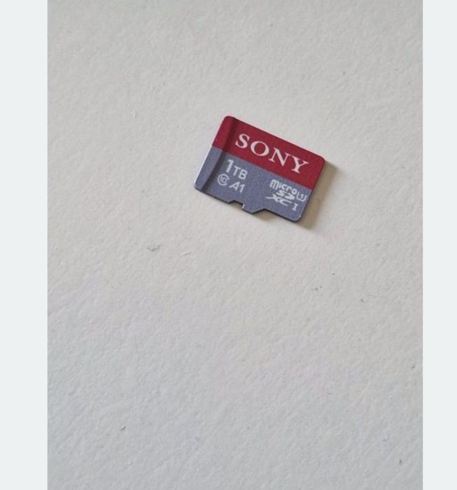 Card de memorie Sony 1T