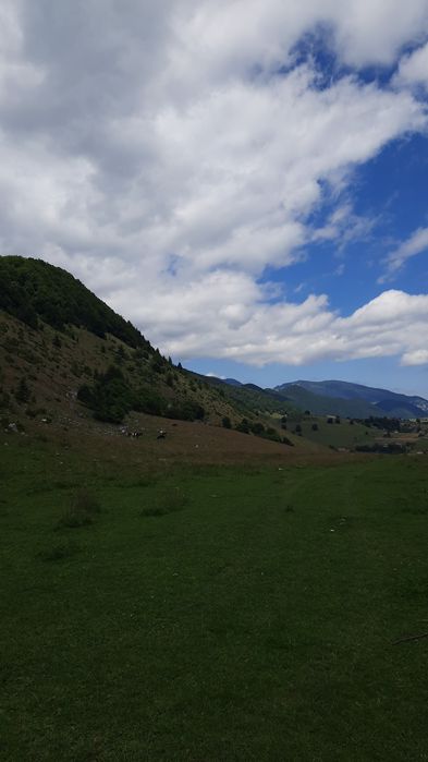 Teren la munte Dambovicioara Ciocanu Satic