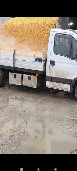 Porumb 1200/t  grâu 1100/t orz 1350/t transport gratuit vrac