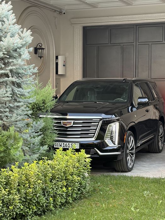 172000 USD Cadillac Escalade Luxury 2025/11
