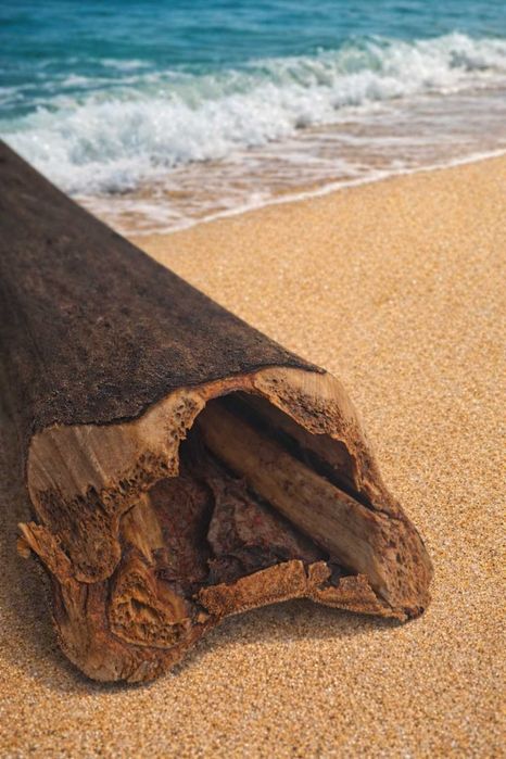 Уникален Подарък