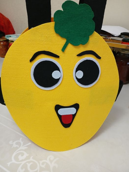 Продам костюм дыни из фетра. 1000 тг.