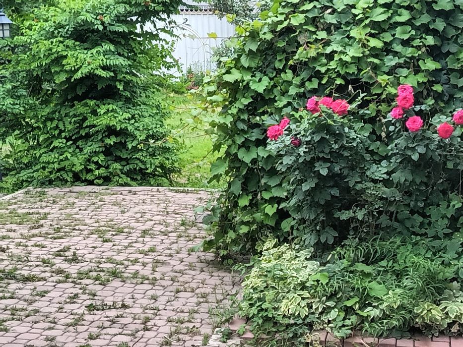 Срочно продается участок в Тастаке-2