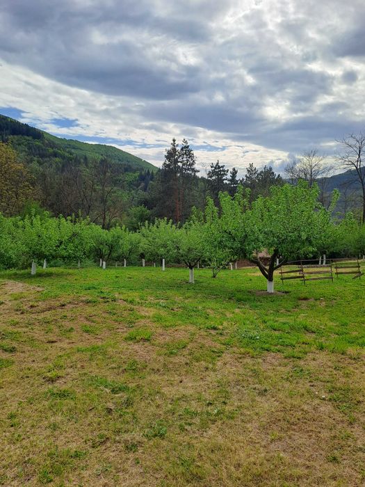 Уютна къща с просторен двор