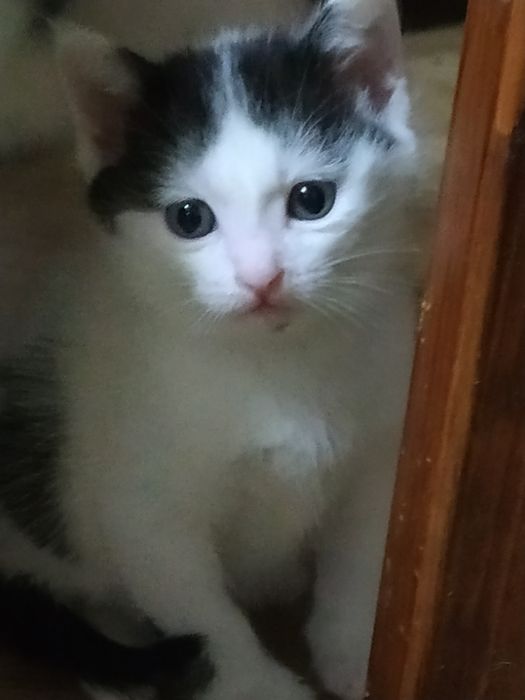 Предновогодняя распродажа