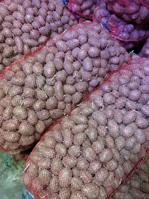 Avem cartofi de consum