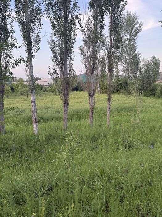 Земелный участок