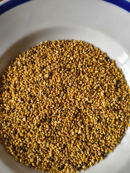 Пчелен прашец-натурален пчелен продукт без добавки