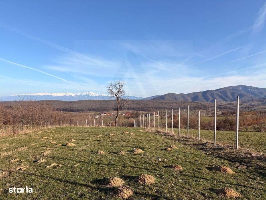 Teren intravilan 809 mp Tropinii Noi lângă pădurea Dumbrava
