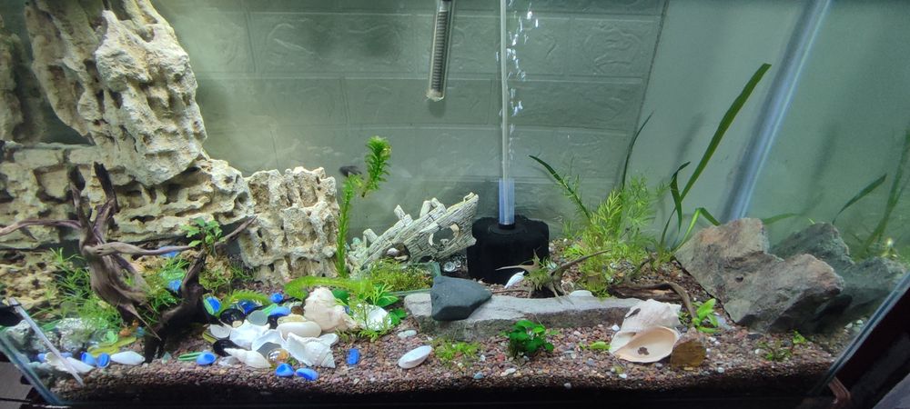 Продам аквариум комплект