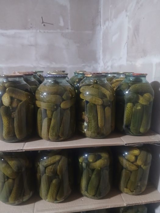 Продам маринованные огурцы