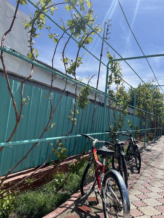 3 велика спортивные