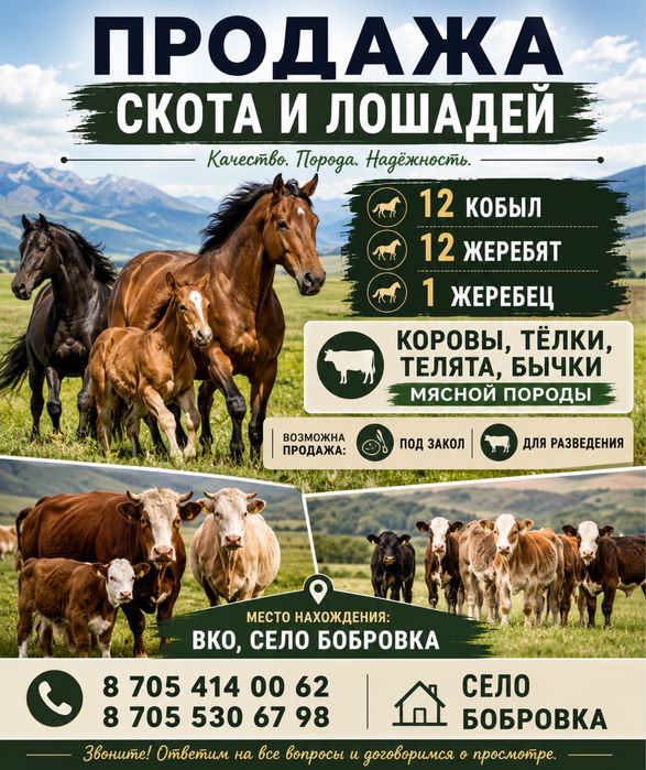 Продам крестьянское хозяйство!