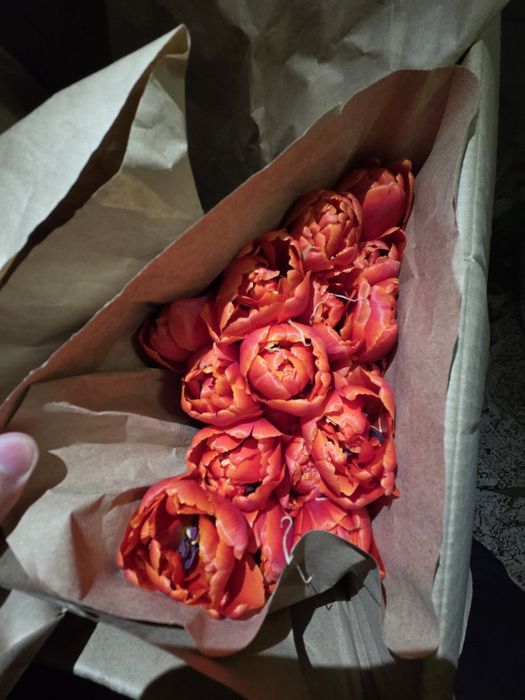 Продаём цветы пионовидные, голландские