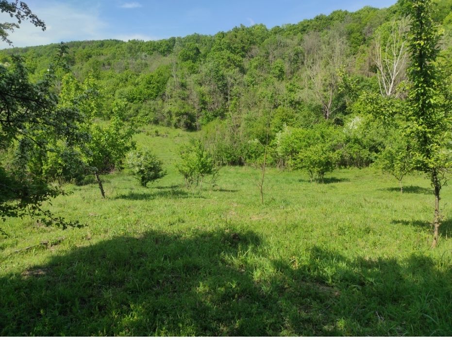 Teren intravilan Capul Piscului Merișani 500-1700 mp