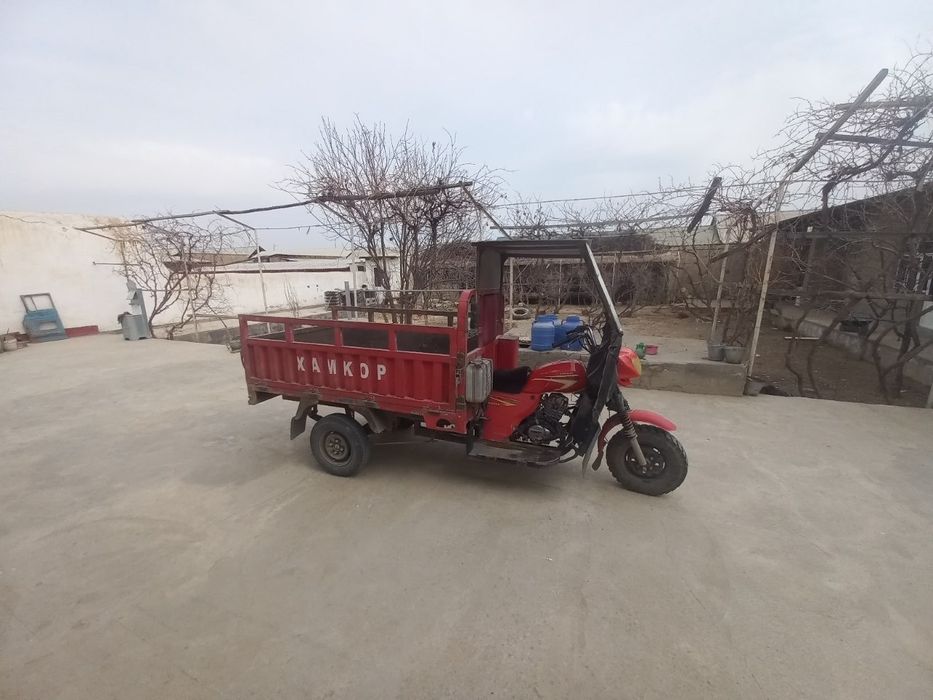 Муравей мотосикл