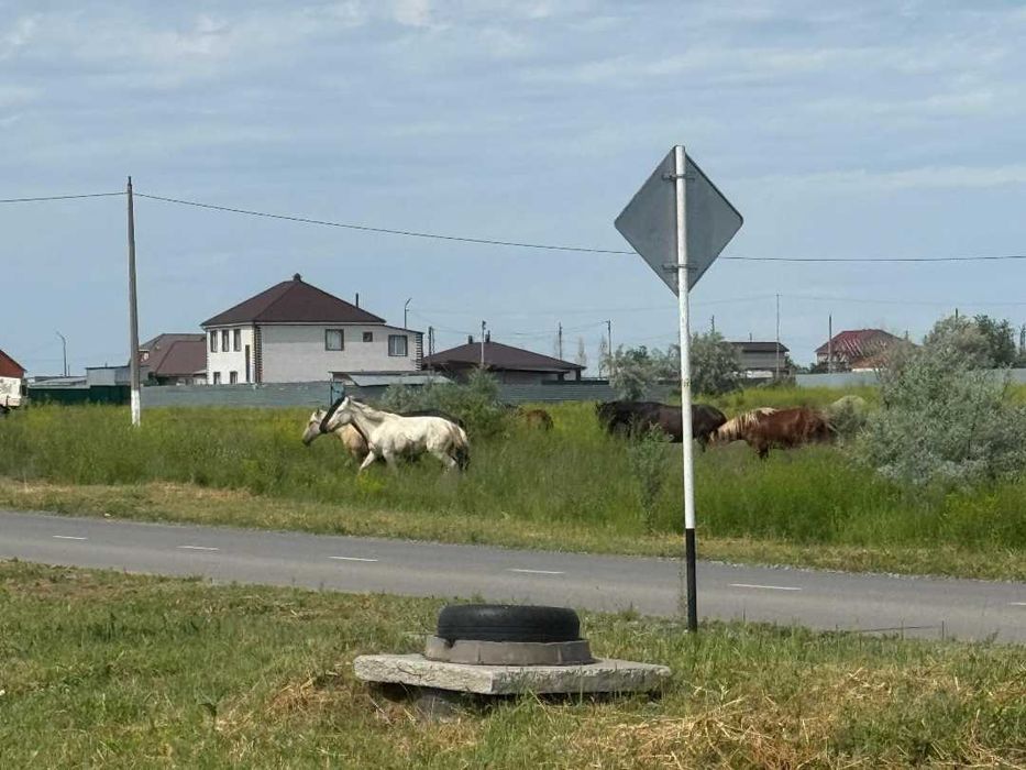 Участок земли в городе