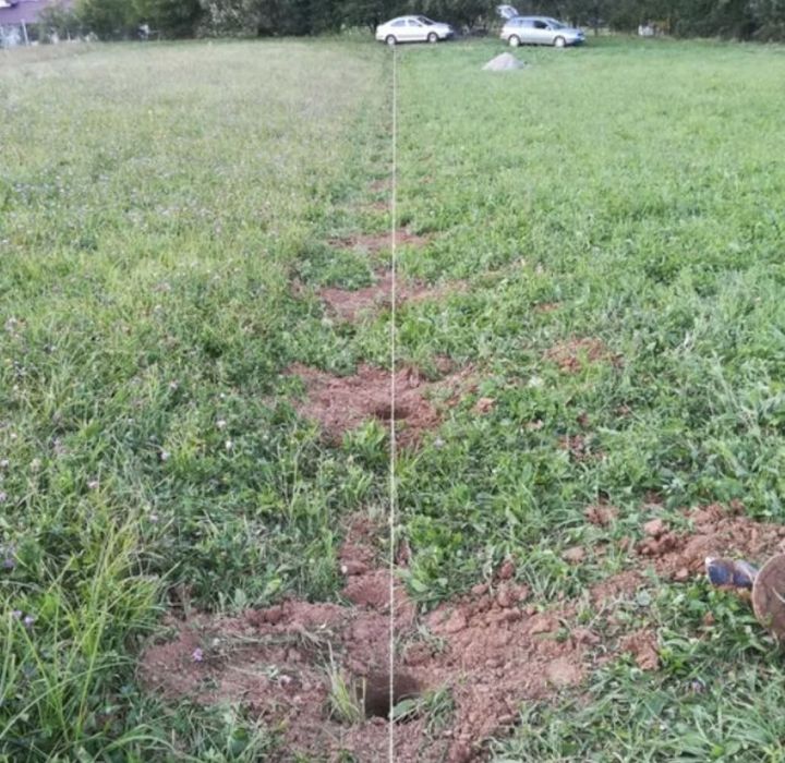 Gauri pentru gard, stalpi, pomi