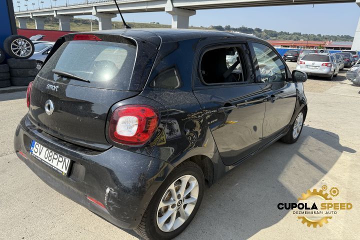 Usa Portiera spate stanga (defecte de la grindina) Smart Forfour 2 [2