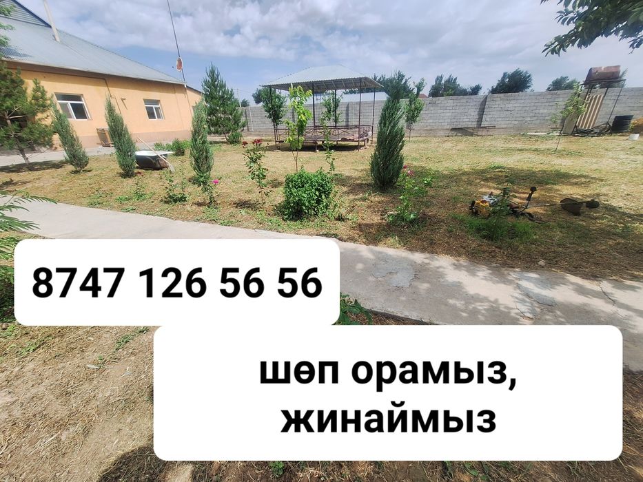 Шөп ору,  жинау , тазалау