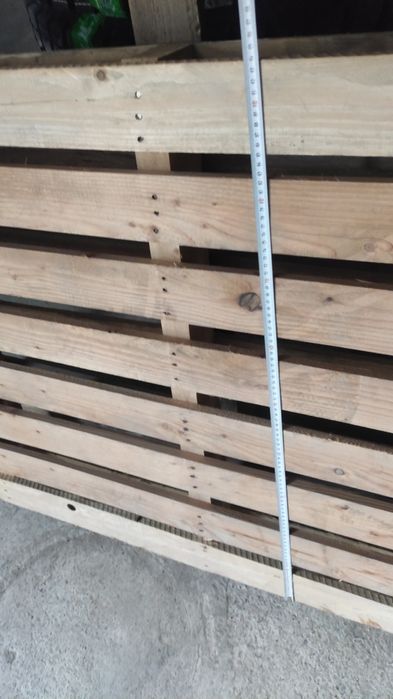 Paddon sotiladi 60 ming