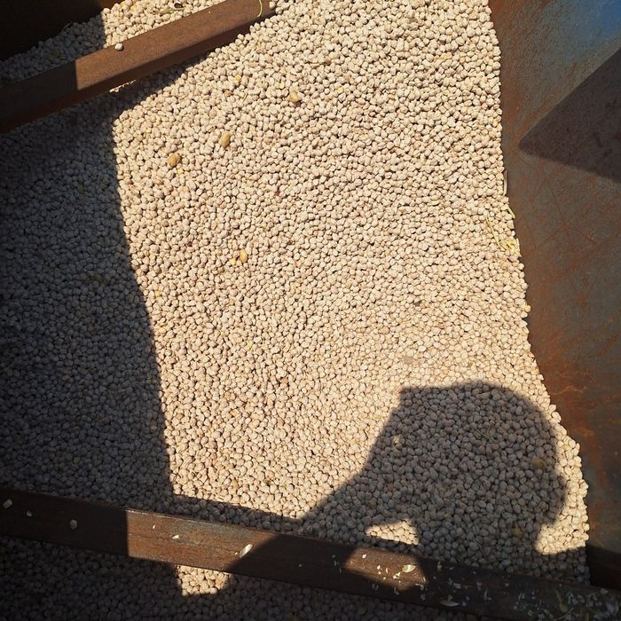 Fasol  nohat chiqaradigan aparat  narxi 140 milyon