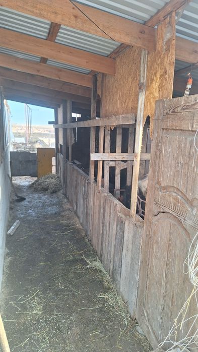 продам Крестиянское хозяйство