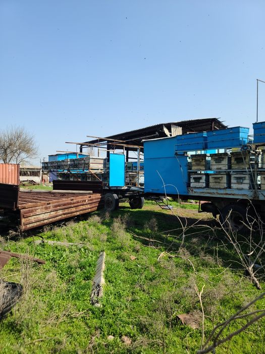 Продаётся пчелоприцеп