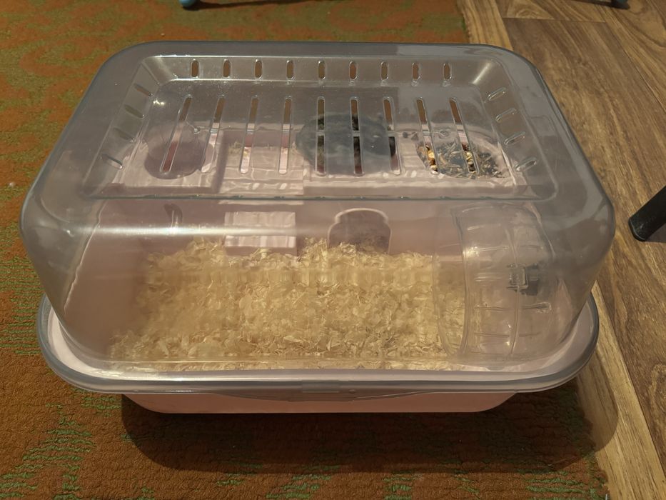 Продаётся джунгарский хомяк вместе с клеткой